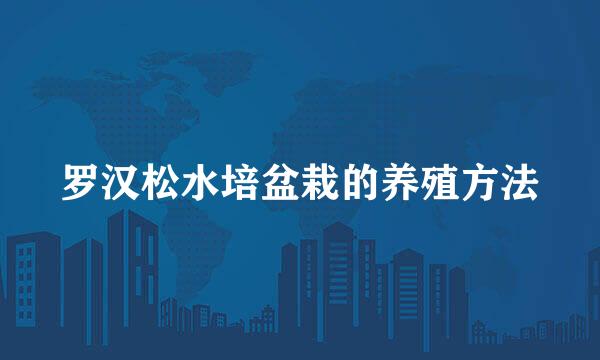 罗汉松水培盆栽的养殖方法