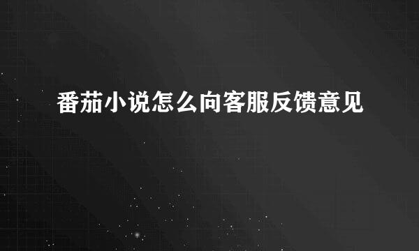 番茄小说怎么向客服反馈意见