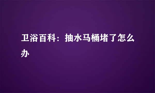 卫浴百科：抽水马桶堵了怎么办