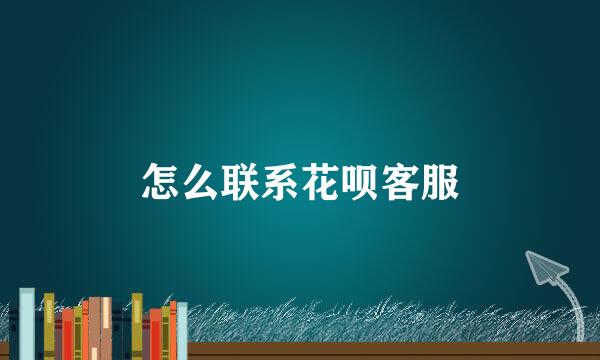 怎么联系花呗客服