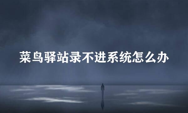 菜鸟驿站录不进系统怎么办