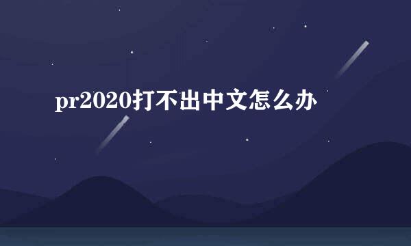 pr2020打不出中文怎么办