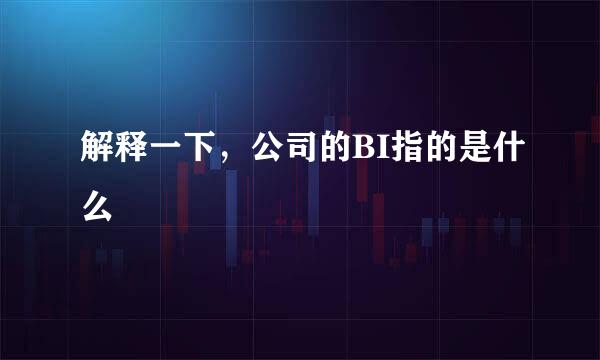 解释一下，公司的BI指的是什么