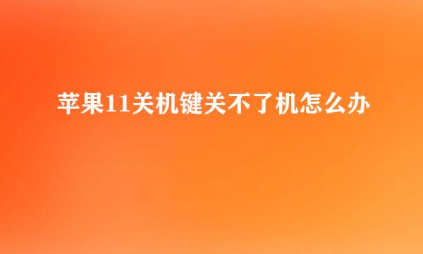 苹果11关机键关不了机怎么办