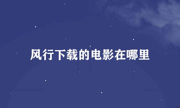 风行下载的电影在哪里