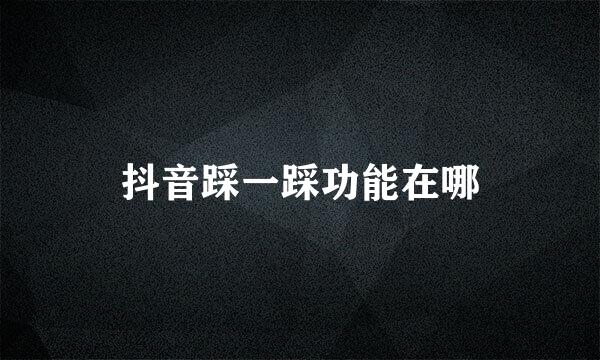抖音踩一踩功能在哪