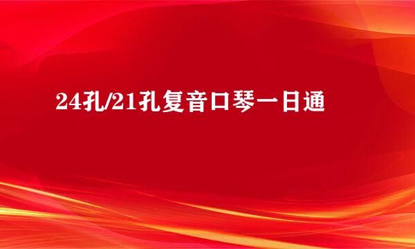 24孔/21孔复音口琴一日通