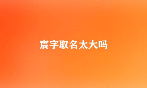 宸字取名太大吗