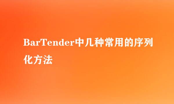 BarTender中几种常用的序列化方法