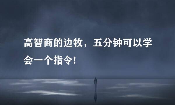 高智商的边牧，五分钟可以学会一个指令!