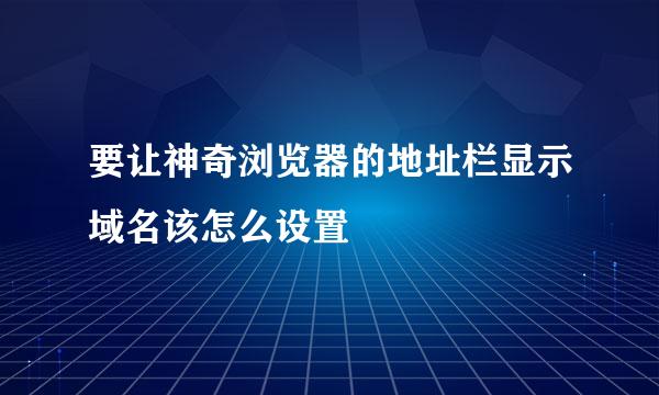 要让神奇浏览器的地址栏显示域名该怎么设置