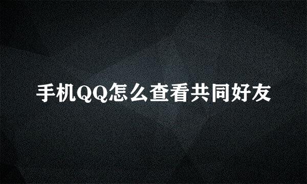 手机QQ怎么查看共同好友