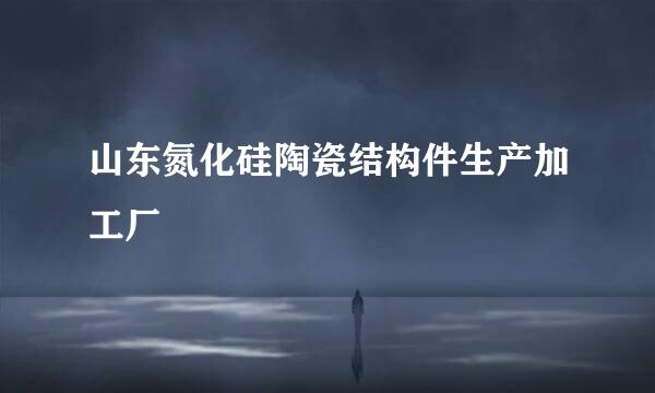 山东氮化硅陶瓷结构件生产加工厂