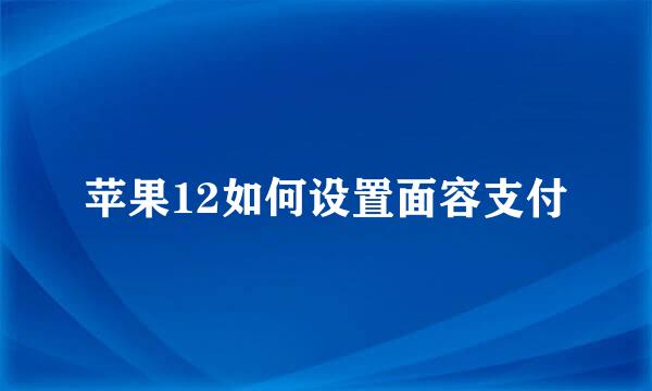 苹果12如何设置面容支付