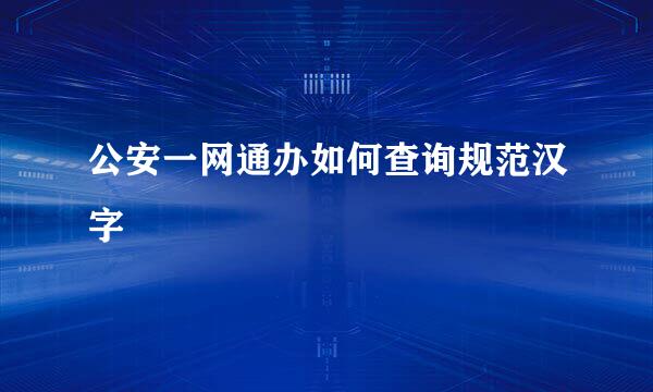 公安一网通办如何查询规范汉字