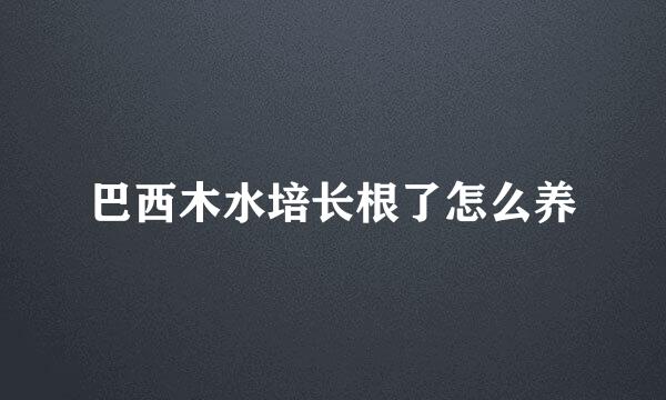 巴西木水培长根了怎么养