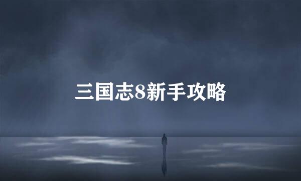 三国志8新手攻略
