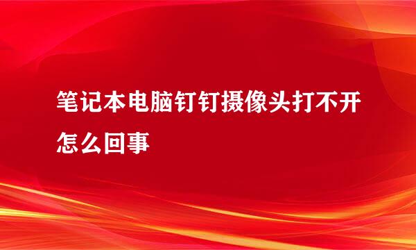 笔记本电脑钉钉摄像头打不开怎么回事