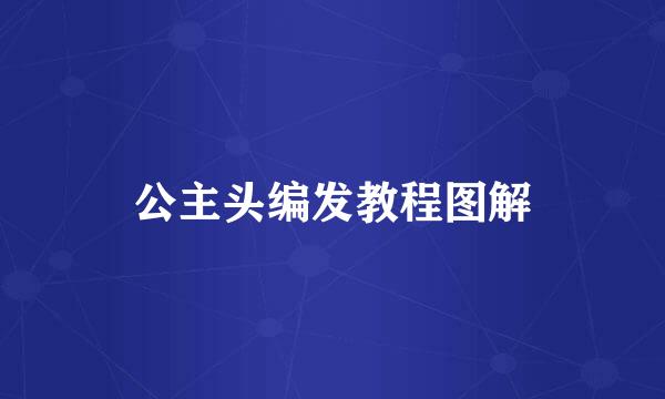 公主头编发教程图解