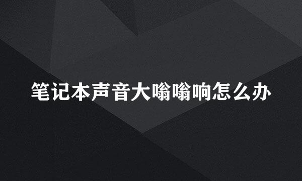 笔记本声音大嗡嗡响怎么办