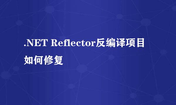 .NET Reflector反编译项目如何修复