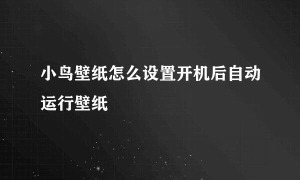 小鸟壁纸怎么设置开机后自动运行壁纸