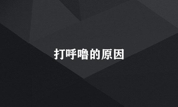 打呼噜的原因