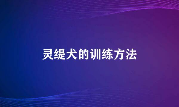 灵缇犬的训练方法