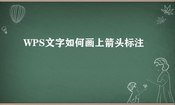 WPS文字如何画上箭头标注