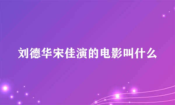 刘德华宋佳演的电影叫什么
