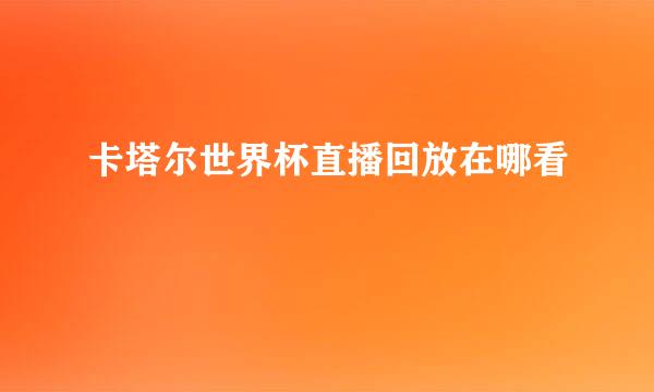 卡塔尔世界杯直播回放在哪看