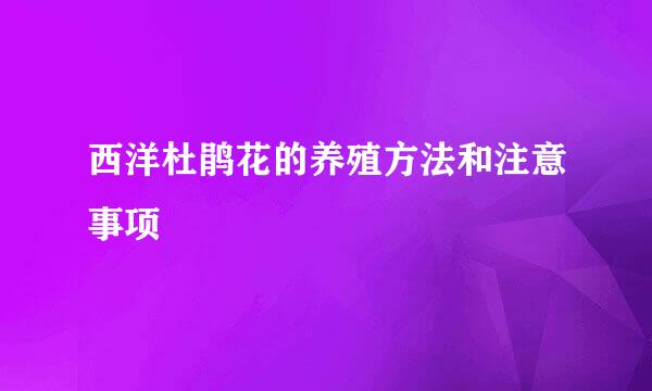 西洋杜鹃花的养殖方法和注意事项