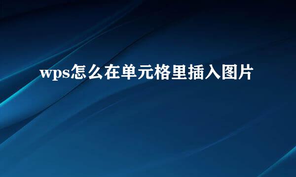 wps怎么在单元格里插入图片
