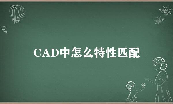 CAD中怎么特性匹配