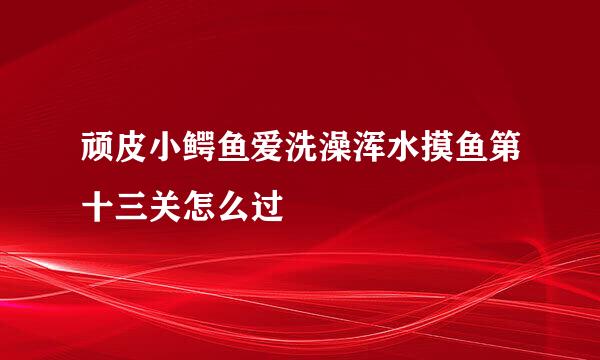 顽皮小鳄鱼爱洗澡浑水摸鱼第十三关怎么过