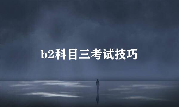 b2科目三考试技巧