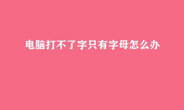 电脑打不了字只有字母怎么办