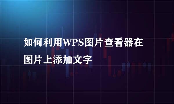 如何利用WPS图片查看器在图片上添加文字