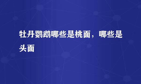 牡丹鹦鹉哪些是桃面，哪些是头面
