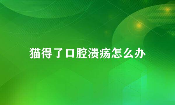 猫得了口腔溃疡怎么办