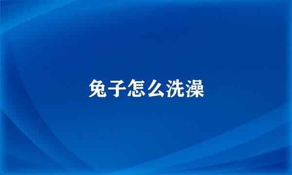 兔子怎么洗澡