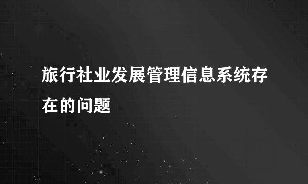 旅行社业发展管理信息系统存在的问题