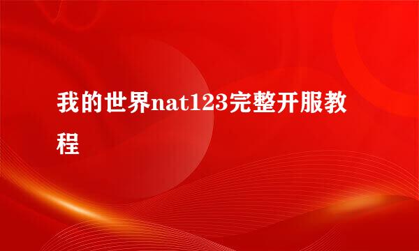 我的世界nat123完整开服教程