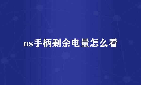 ns手柄剩余电量怎么看