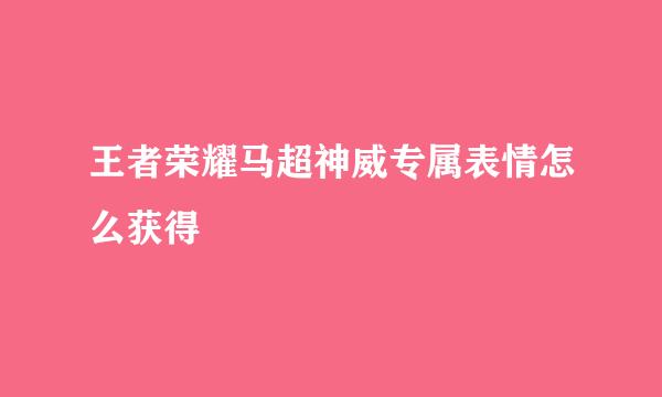王者荣耀马超神威专属表情怎么获得