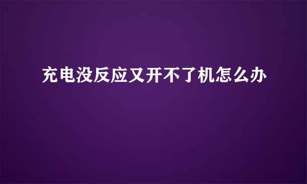 充电没反应又开不了机怎么办