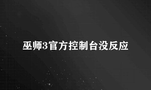 巫师3官方控制台没反应