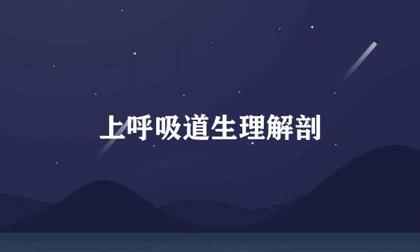上呼吸道生理解剖