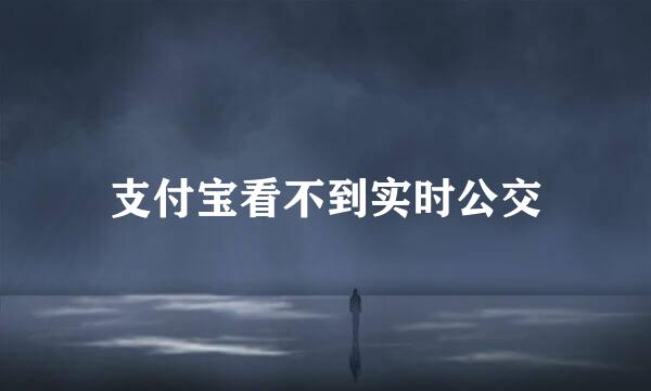 支付宝看不到实时公交