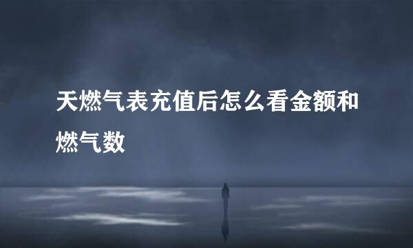 天燃气表充值后怎么看金额和燃气数